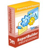 REPORT BUILDER PROFESSIONAL